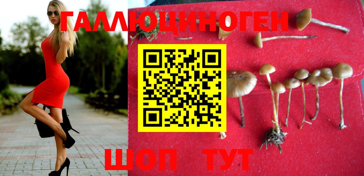 Псилоцибиновые грибы Magic Shrooms  Псилоцибиновые грибы MAGIC MUSHROOMS  Ликино-Дулёво  Вход с VPN 