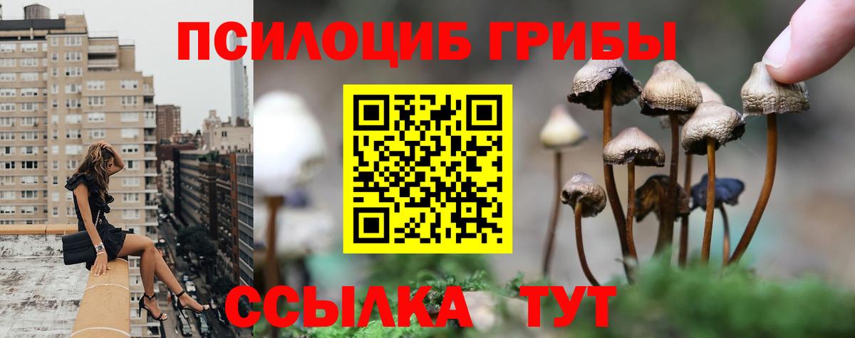 Галлюциногенные грибы Magic Shrooms Ликино-Дулёво